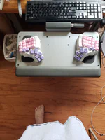 2018-08-11 10.58.07.jpg